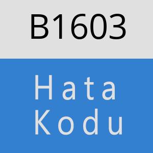 B1603 hatasi