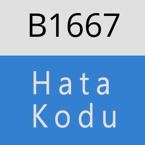 B1667 hatasi