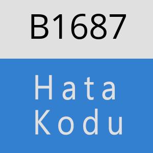 B1687 hatasi
