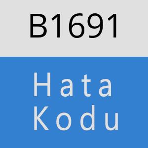 B1691 hatasi