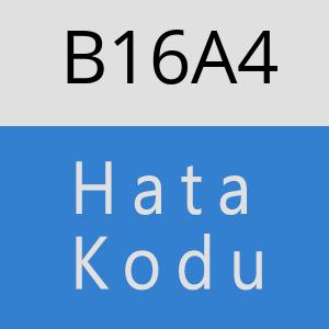 B16A4 hatasi