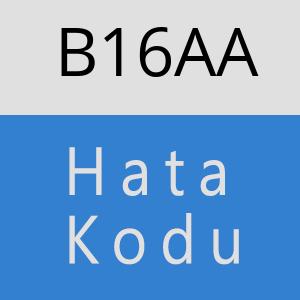 B16AA hatasi