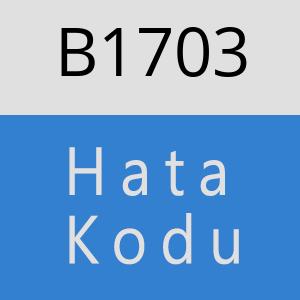 B1703 hatasi