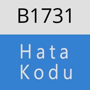 B1731 hatasi