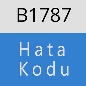 B1787 hatasi