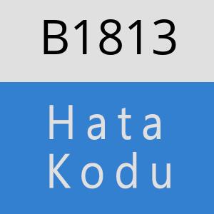 B1813 hatasi