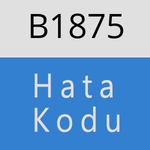 B1875 hatasi