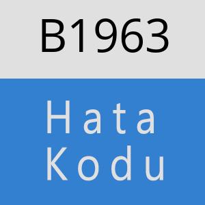 B1963 hatasi