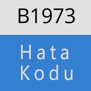 B1973 hatasi