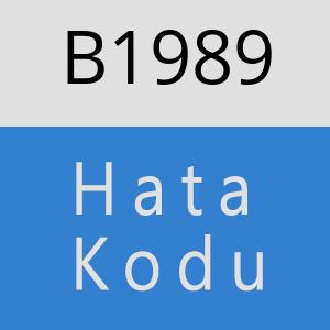 B1989 hatasi