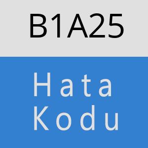 B1A25 hatasi