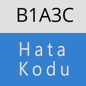 B1A3C hatasi