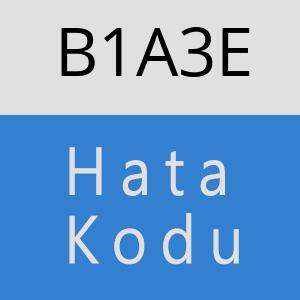 B1A3E hatasi