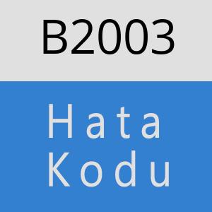 B2003 hatasi