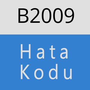 B2009 hatasi