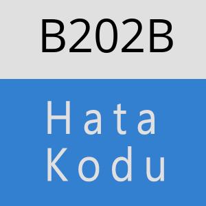 B202B hatasi