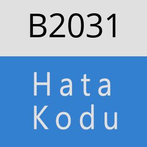 B2031 hatasi