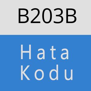 B203B hatasi