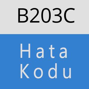 B203C hatasi