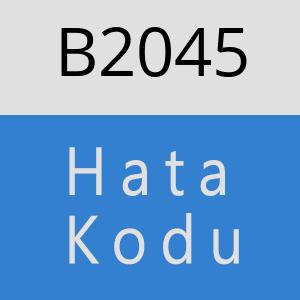 B2045 hatasi
