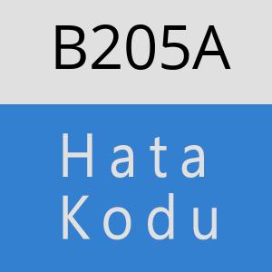 B205A hatasi