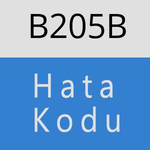 B205B hatasi