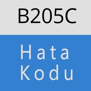 B205C hatasi