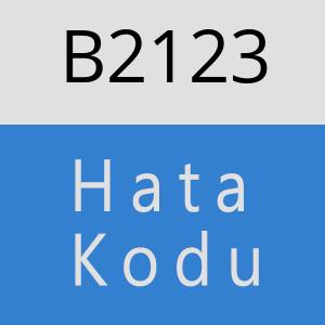 B2123 hatasi