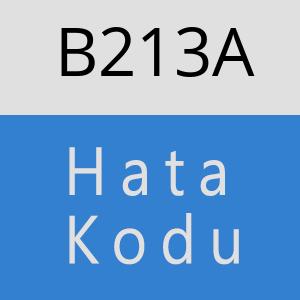 B213A hatasi