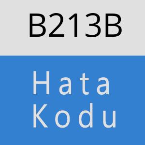 B213B hatasi