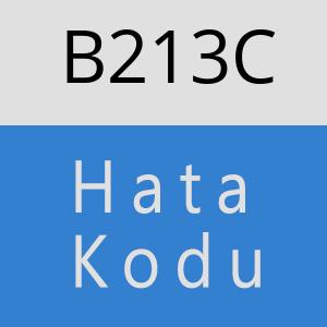 B213C hatasi