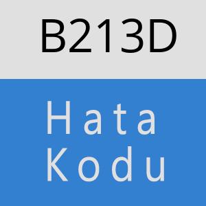 B213D hatasi