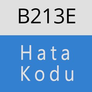 B213E hatasi