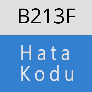 B213F hatasi