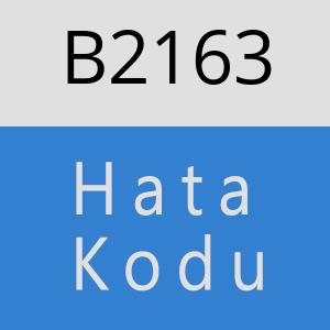 B2163 hatasi