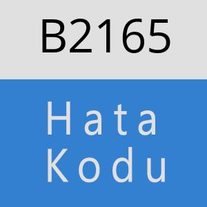 B2165 hatasi