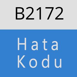 B2172 hatasi