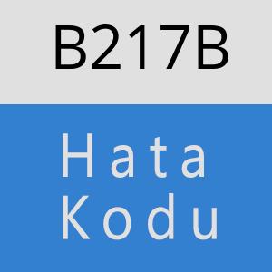 B217B hatasi