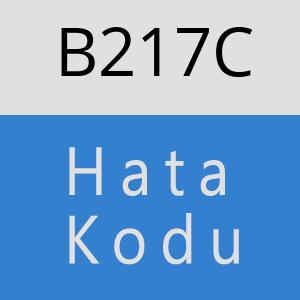 B217C hatasi