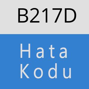 B217D hatasi