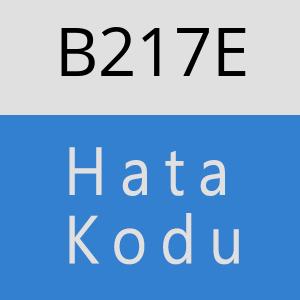 B217E hatasi