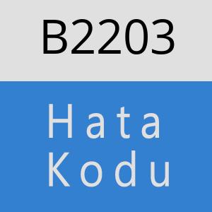 B2203 hatasi