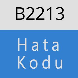 B2213 hatasi