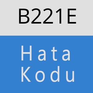 B221E hatasi
