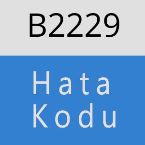 B2229 hatasi