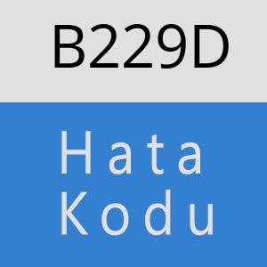 B229D hatasi