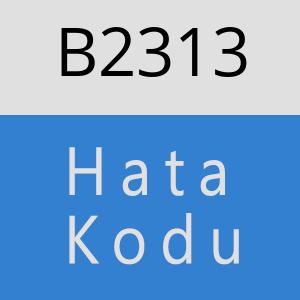 B2313 hatasi