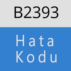 B2393 hatasi