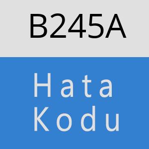 B245A hatasi