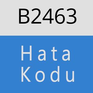 B2463 hatasi